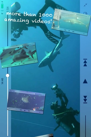 Shark Diving screenshot 2