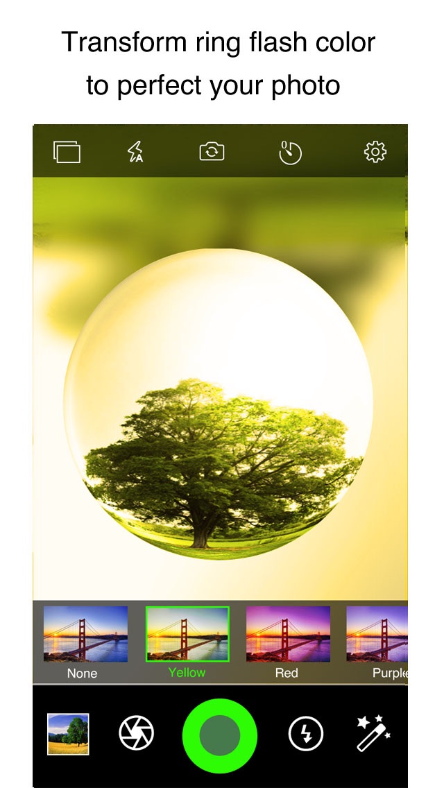 PDF Scanner: Date Stamp iPhone screenshot