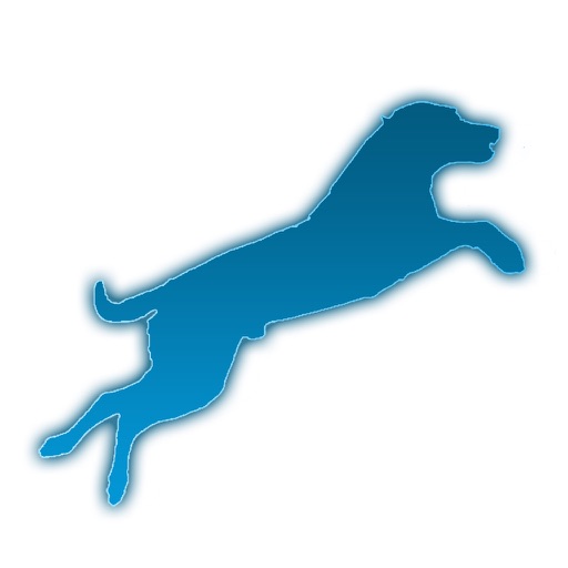 Iron Dog Points Calculator