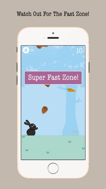 Carrot Rush By Bunny Box