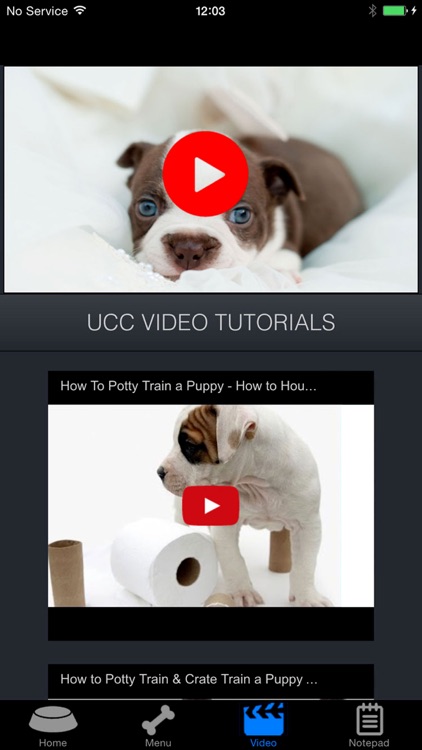 How To Potty Training A Puppy - Complete Guide screenshot-3