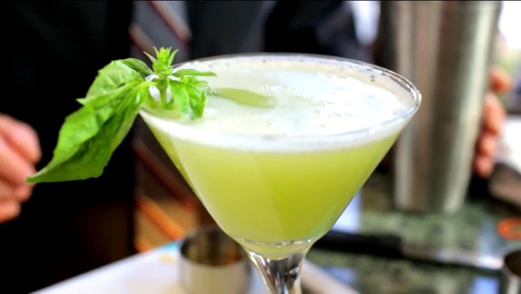 Cocktails - Step by Step Video Cookbook screenshot-3