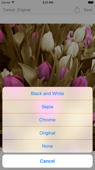 Shaded - Photo Color Modifier iPhone screenshot 4 - Photo & Video app