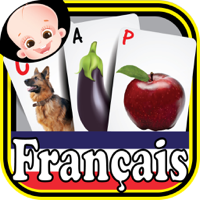 Preschooler Kids French ABC Alphabets and Numbers Flash Cards