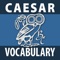 Caesar: Selections from his Commentarii De Bello Gallico Vocabulary Flashcards