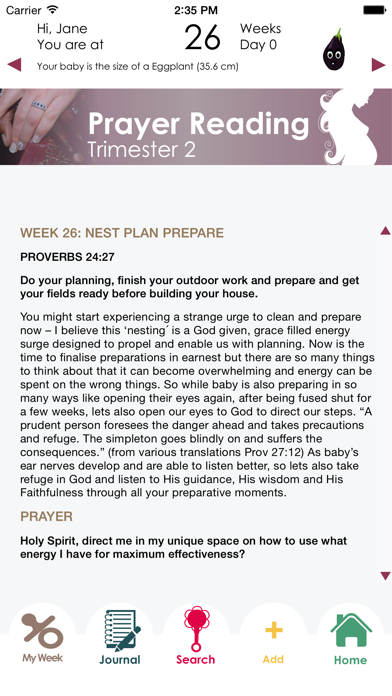 Screenshot #3 pour Pregnancy Prayer App