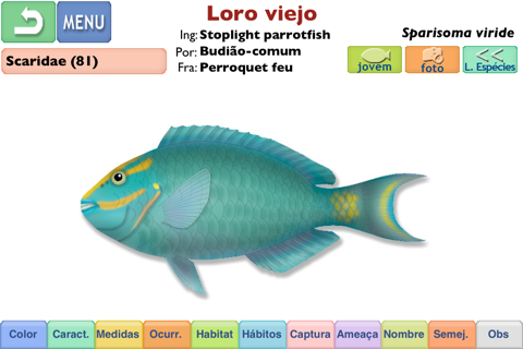 Marine Fishes - Identification Guide screenshot 2