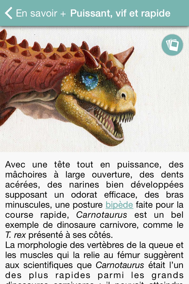 La Galerie de Paléontologie du Muséum national d’Histoire naturelle, Paris screenshot 3