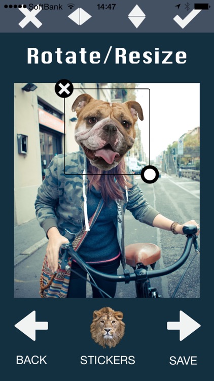 Animal Face Photo Booth