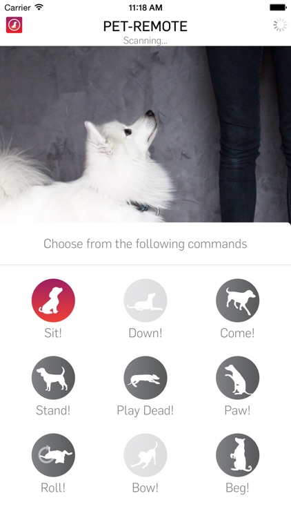 Pet-Remote - Control your dog or pet