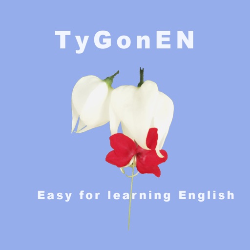 TyGonEN - English Listen Practice Free icon