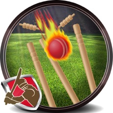 Activities of Hit The Wicket