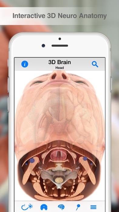 Pocket Brain Screenshot