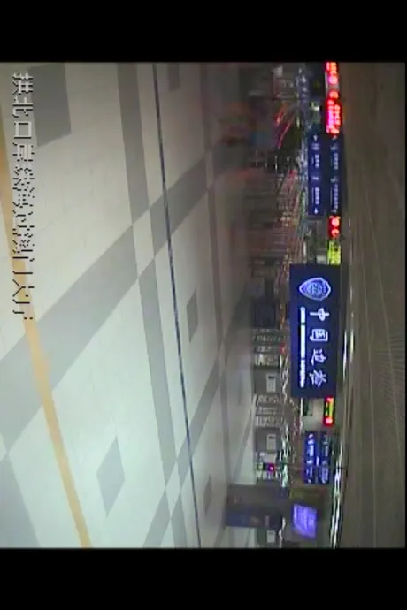 Palmto NetCam - Network Camera video preview  App