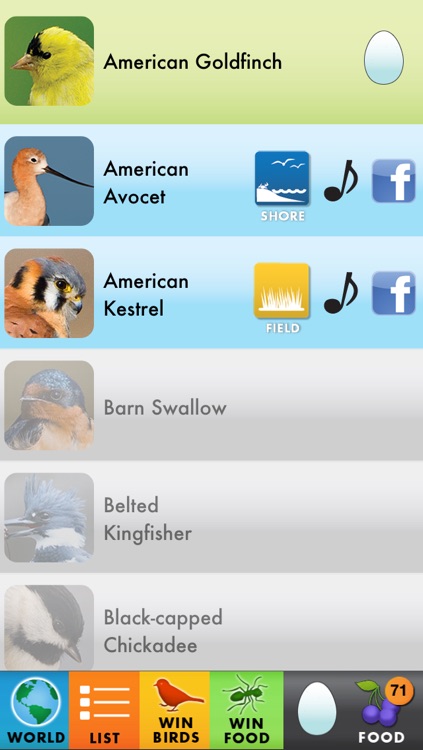 My Bird World Lite