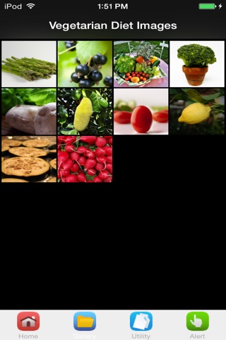 Healthy Recipes Vegetarian Diet screenshot 2