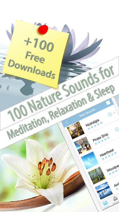 Relaxing Sounds Of Nature & SPA Music Screenshot