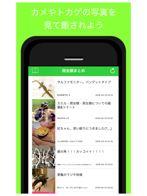 爬虫類ブログまとめ - 人気の爬虫類ブログをまとめてお届け iPad screenshot