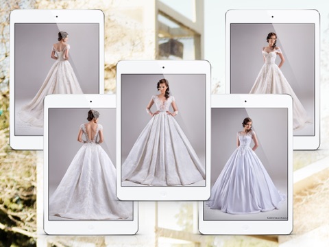 Wedding Inspirasi for iPad screenshot 4