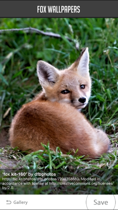 Screenshot #3 pour Fox Wallpapers