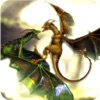 Dragons Combat