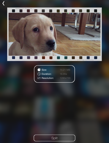Screenshot #5 pour Video Splitter