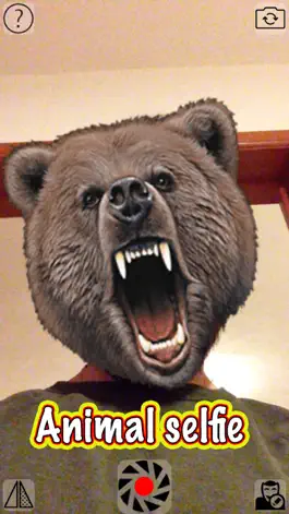 Game screenshot Animal Cam - Swap your face with the head of funny animals such as: cats, dogs, bears, pigs, wolfs, fish or birds from your camera hack