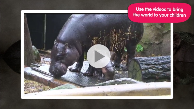 ABC ZooBorns screenshot-4