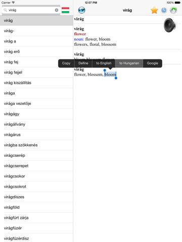 Screenshot #6 pour English Hungarian best dictionary translator -Angol Magyar legjobb szótár fordító