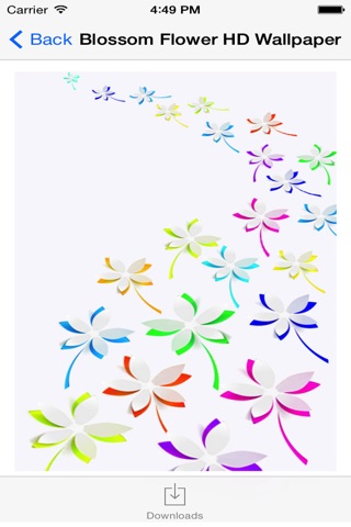 Blossom Flower HD Wallpaper for iPhone screenshot 2