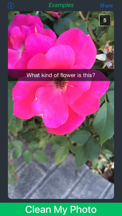 移除 Snapchat 描述文字 screenshot