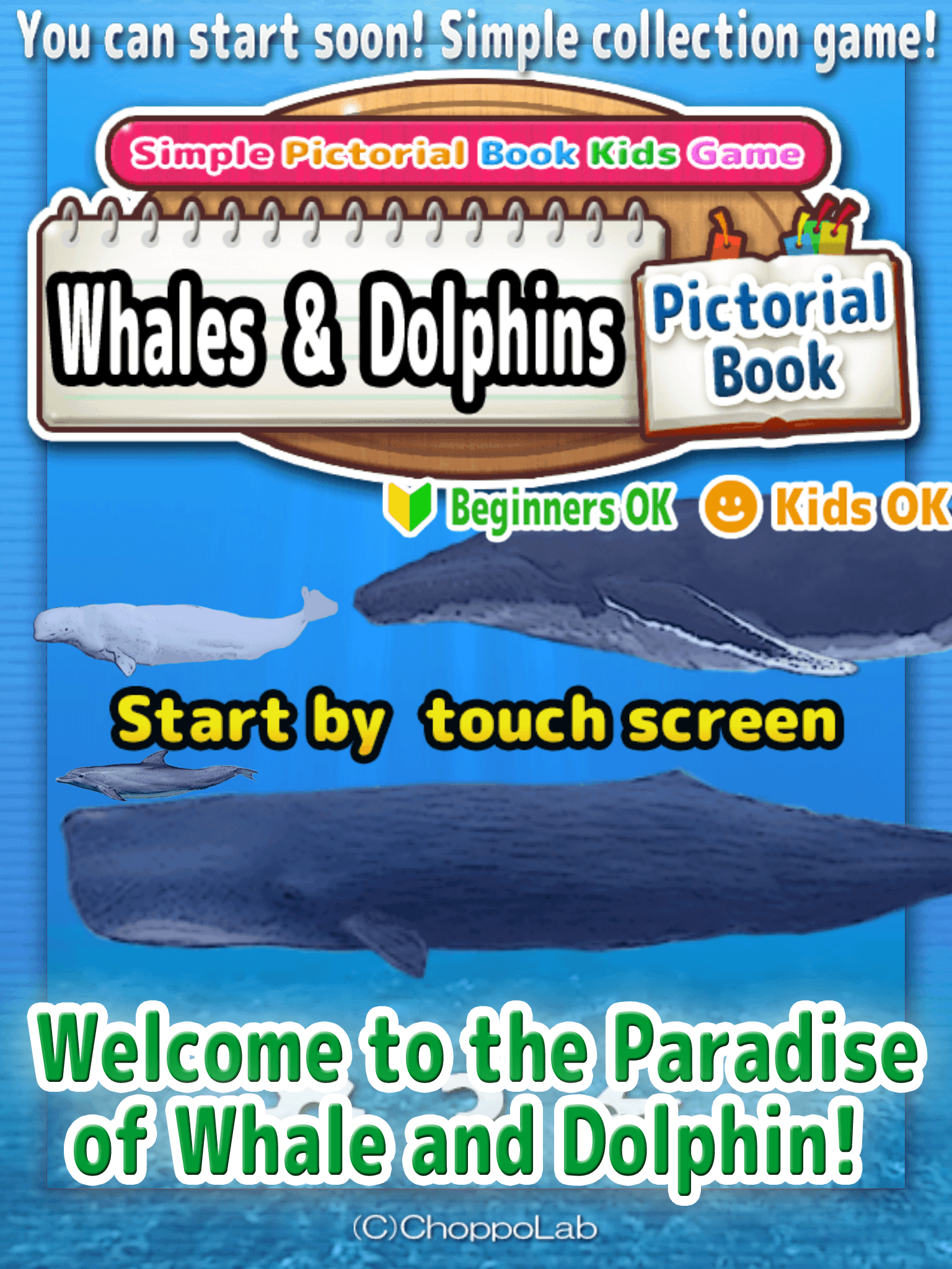 Whales & Dolphins of the World -Simple Pictorial Book Kids Game -
