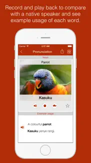 swahili primer - learn to speak and write swahili language: grammar, vocabulary & exercises iphone screenshot 4