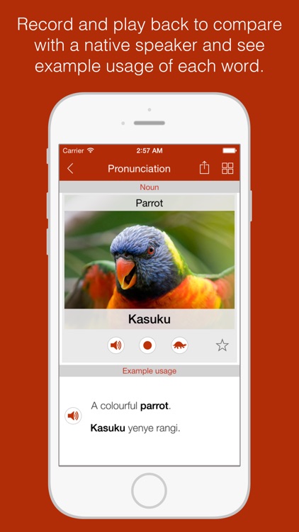 Swahili Primer - Learn To Speak And Write Swahili Language: Grammar, Vocabulary & Exercises screenshot-3