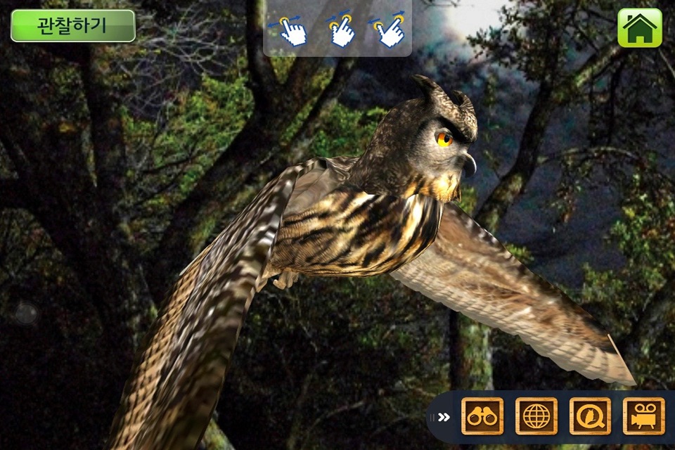 EVO BIRD - Augmented Reality screenshot 3