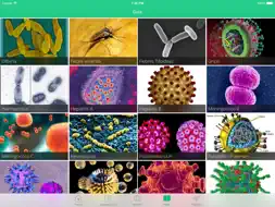 Vacunas screenshot 9