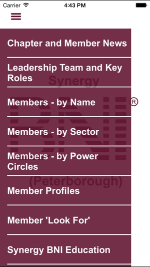 Synergy BNI (Peterborough)(圖2)-速報App