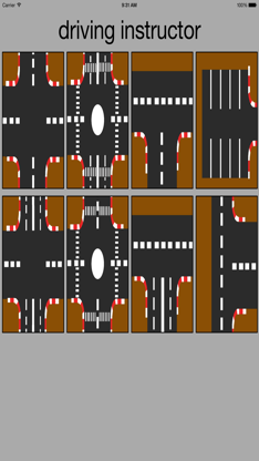 driving instructor screenshot 2
