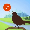 Chirp! Bird Song USA