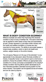 horsebcs problems & solutions and troubleshooting guide - 2