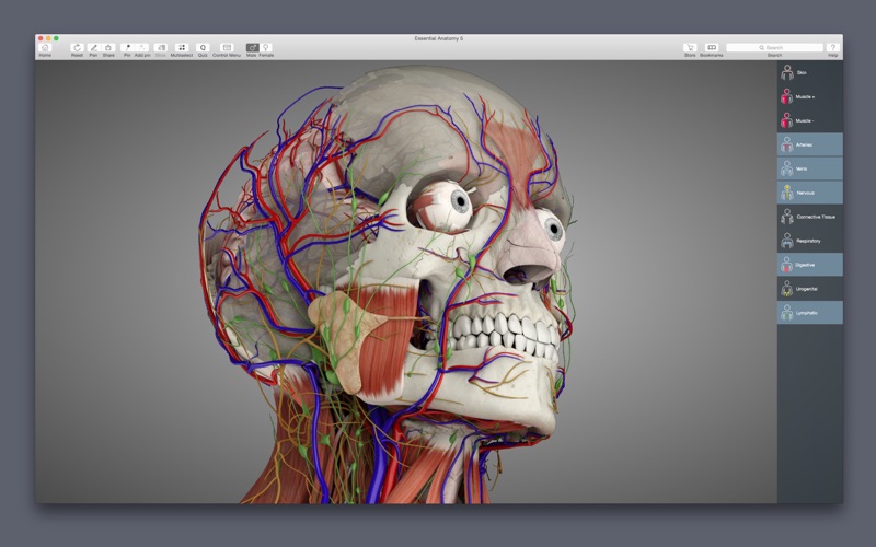 Essential Anatomy 5 Screenshot