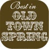 Best in Old Town Spring