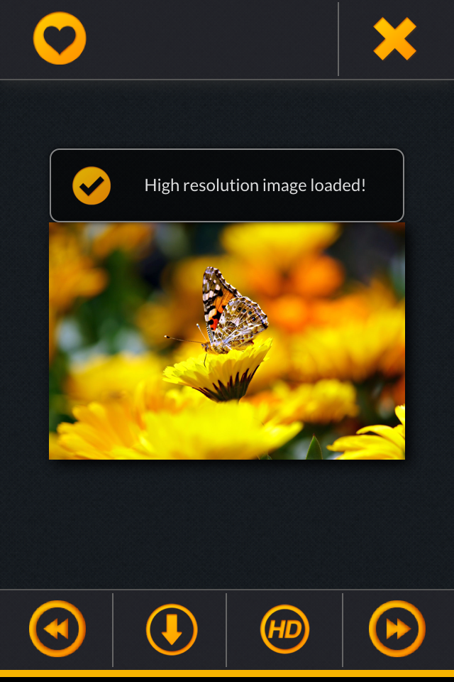 Premium Quality Wallpapers