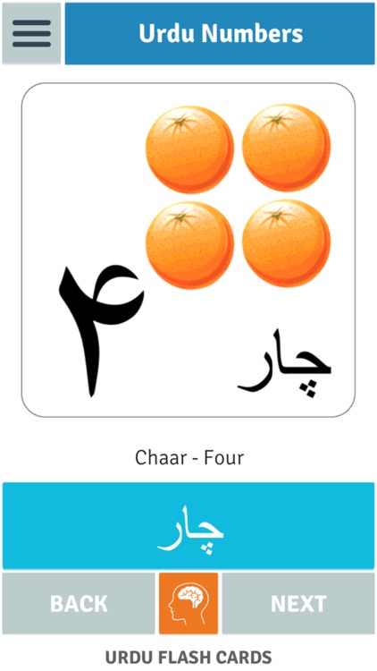 Urdu Flash Cards screenshot-3