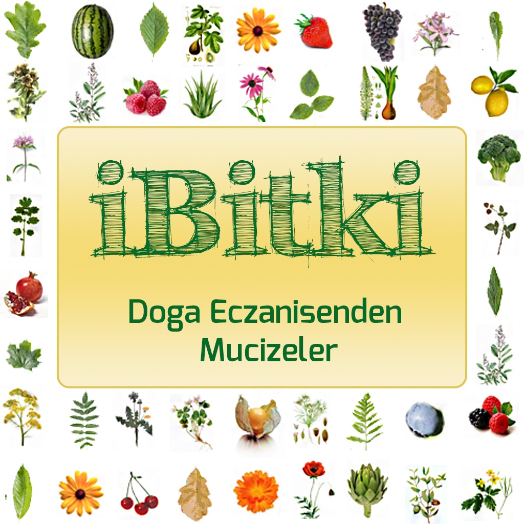 iBitki - Bitkisel Yağlar ve Faydaları icon