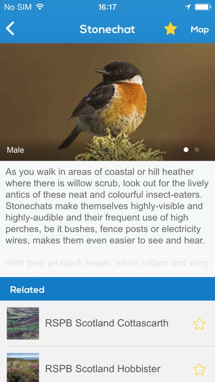 Discover Orkney Wildlife