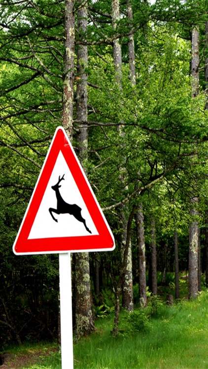 Landscapes of the signboard screenshot-4