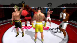 Game screenshot Boxing 3D Fight Game mod apk