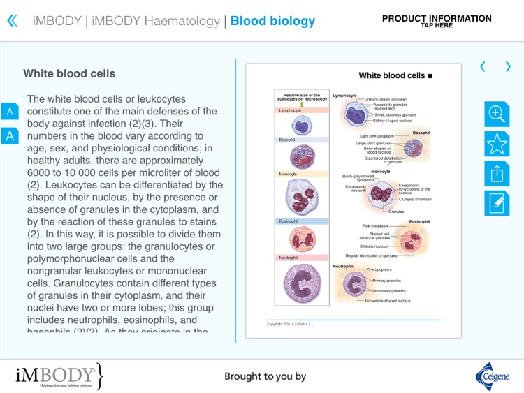 iMBODY Haematology