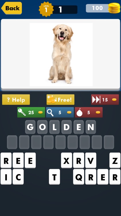 Most Popular Dog Breeds Trivia Quiz ~ American pet training 101 guide for animal lovers